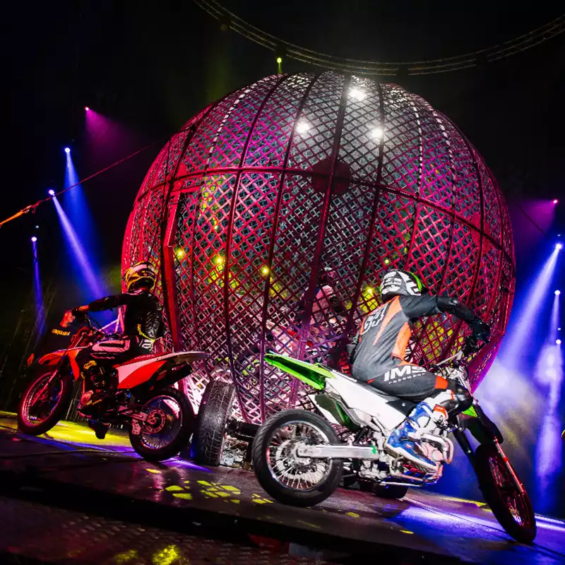 Cirque Celestia em Juiz de Fora